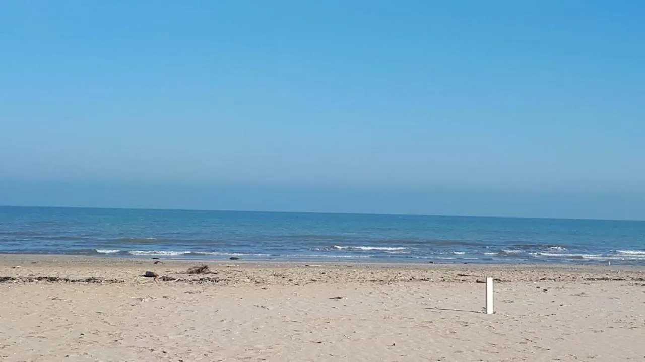Affittacamere Cariddi Rimini Guest house